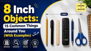 8 Inch Objects