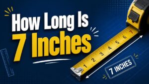 How Long Is 7 Inches