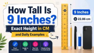 how tall is 9 inches